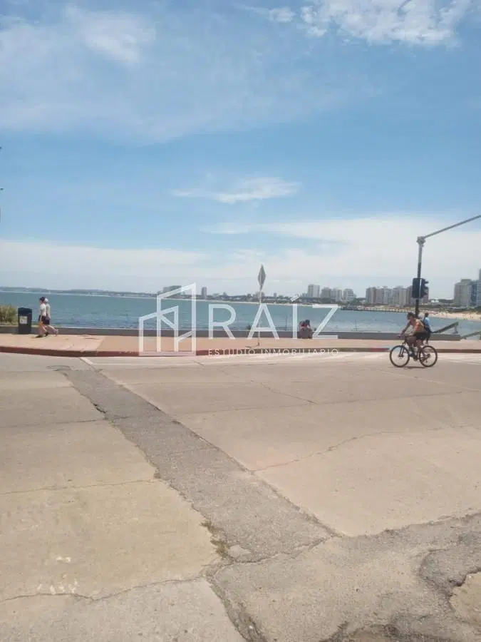 VENTA APARTAMENTO 3 DORMITORIOS PENINSULA 1