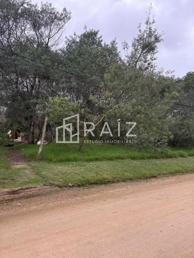 Terreno en Venta Sauce de Portezuelo 3