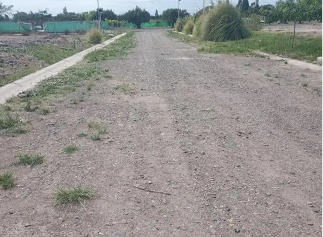 VENTA LOTE AMPROS VIII MAIPU MENDOZA CON TOUR VIRTUAL 4