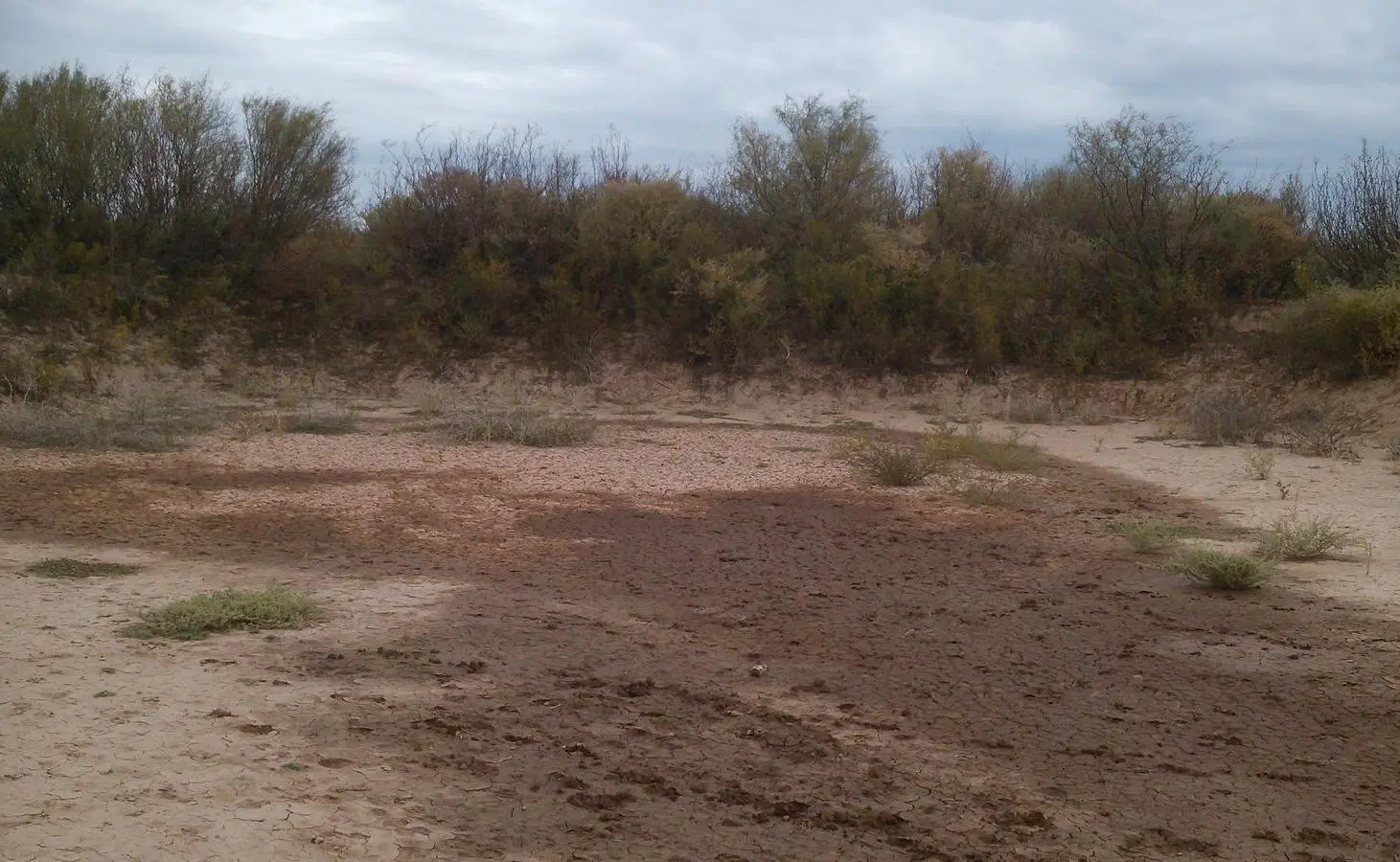 CAMPO EN VENTA LAVALLE - PRODUCCIÓN AGRÍCOLA GANADERA EÓLICA- 4