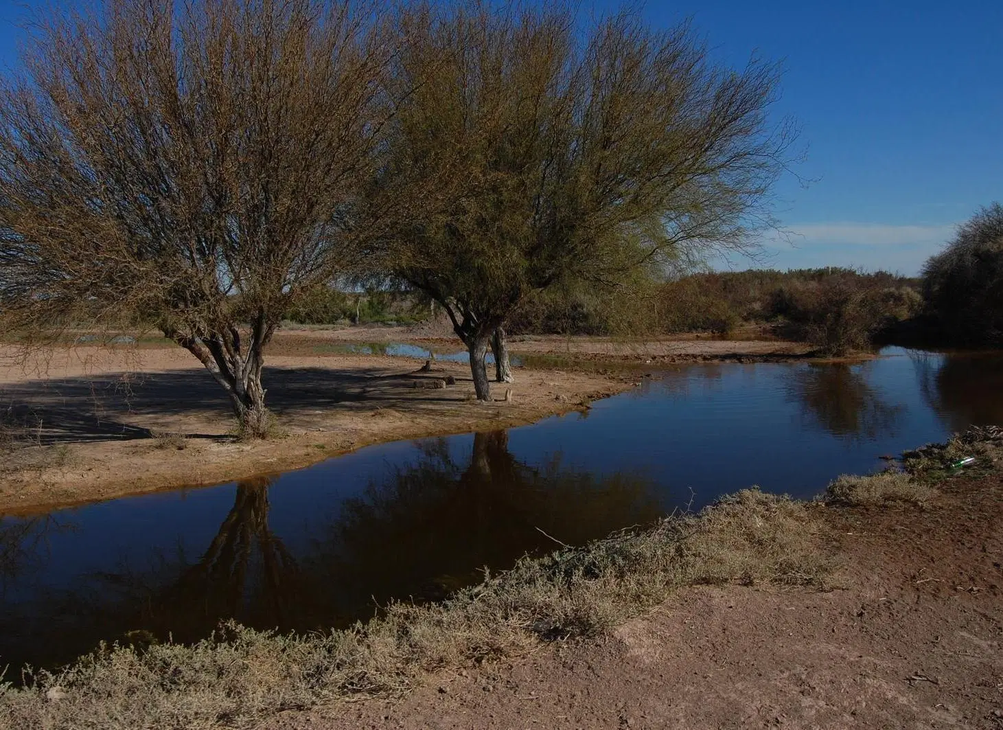 CAMPO AGRÍCOLA GANADERO EN VENTA MENDOZA 2