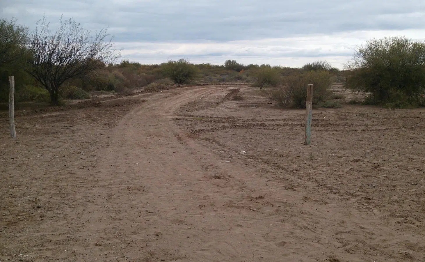 CAMPO AGRÍCOLA GANADERO EN VENTA MENDOZA 3