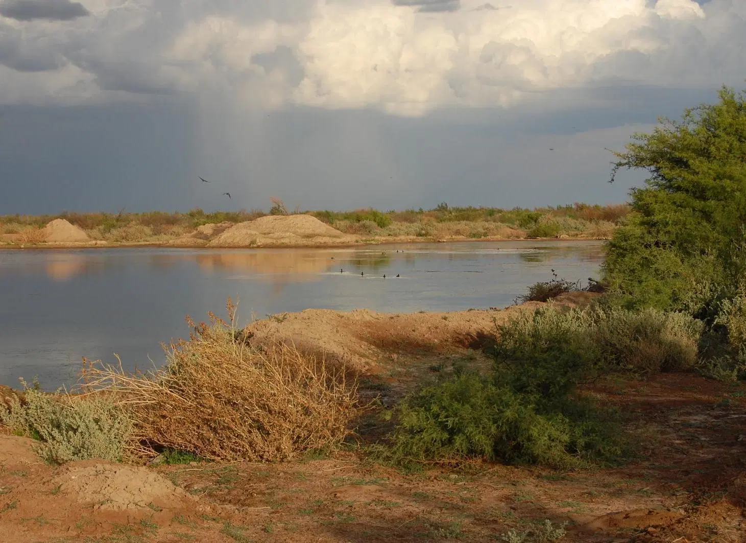 CAMPO AGRÍCOLA GANADERO EN VENTA MENDOZA 5