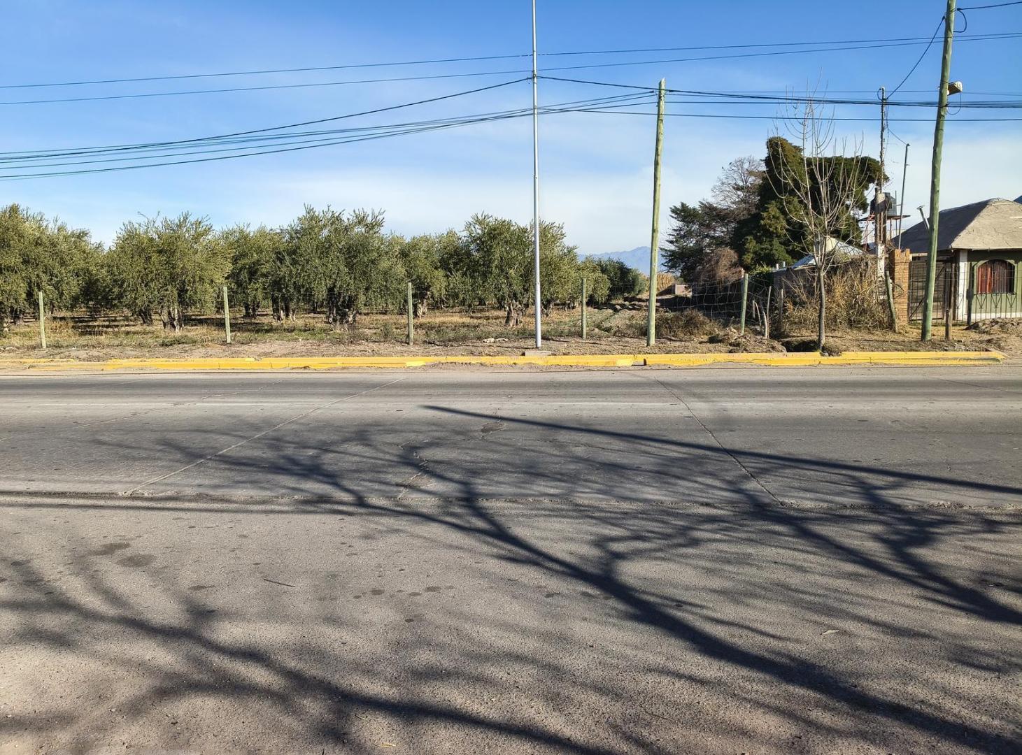 Foto de LOTE EN VENTA CALLE URQUIZA DE MAIPU, imagen 4