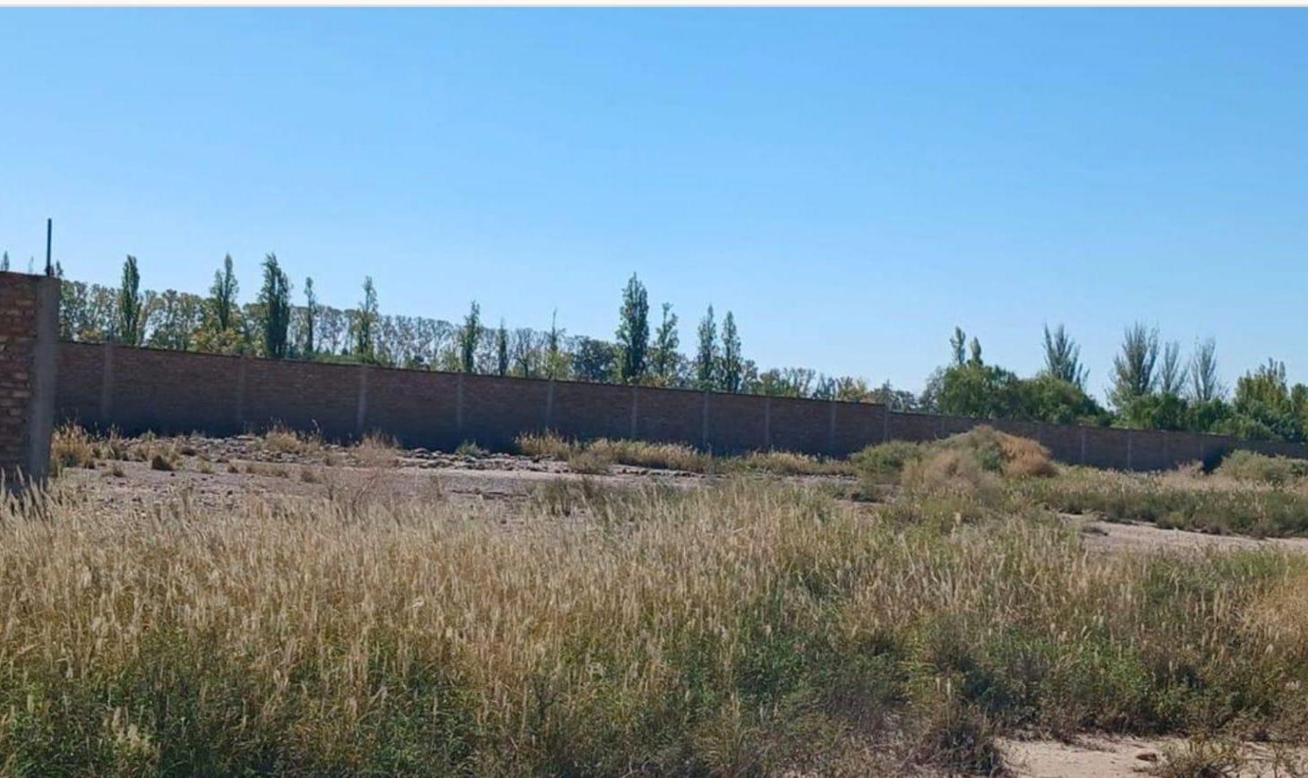 Foto de TERRENO IDEAL DESARROLLO CALLE MAURE GUAYMALLÉN MENDOZA, imagen 4