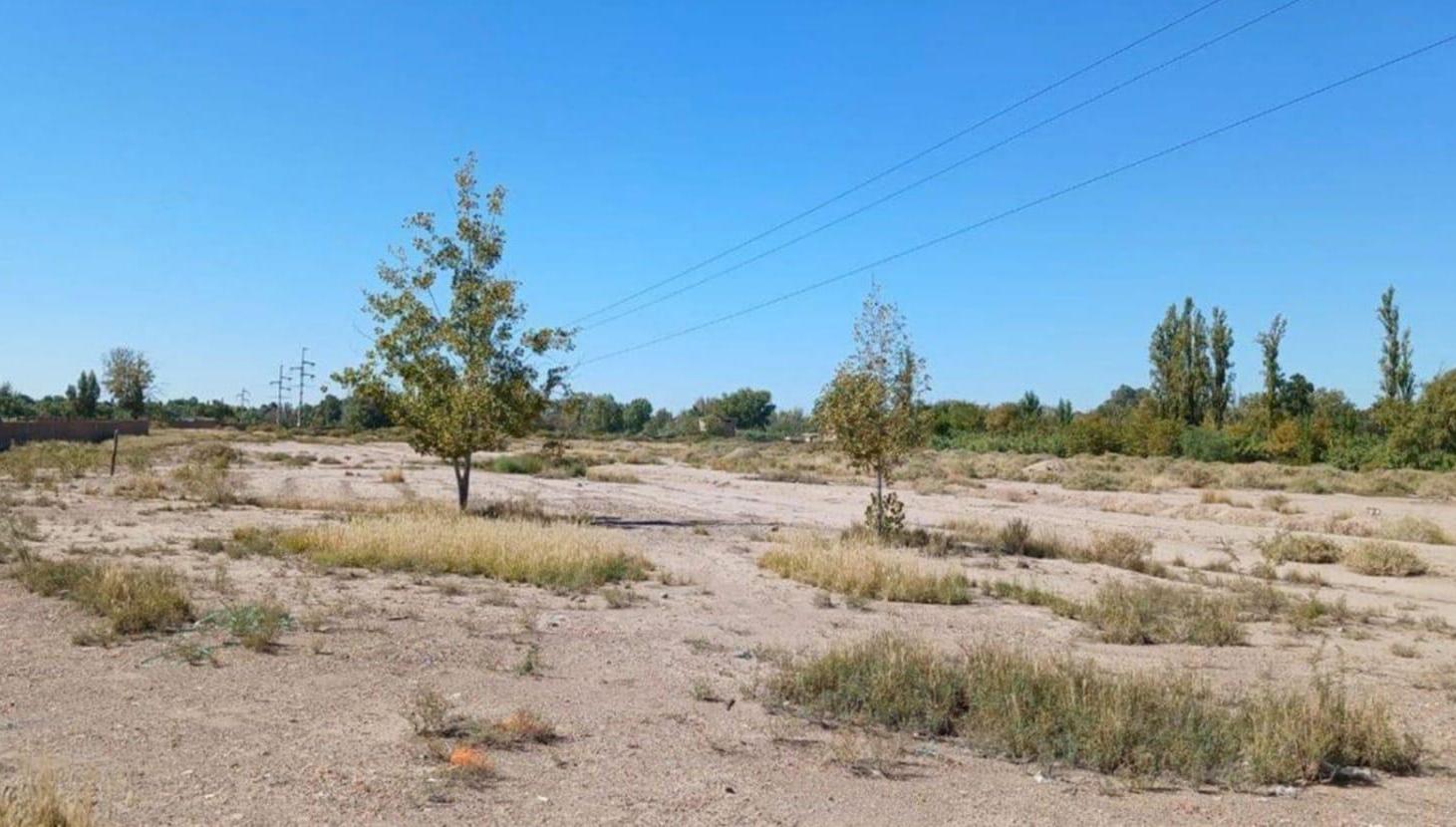 Foto de TERRENO IDEAL DESARROLLO CALLE MAURE GUAYMALLÉN MENDOZA, imagen 5