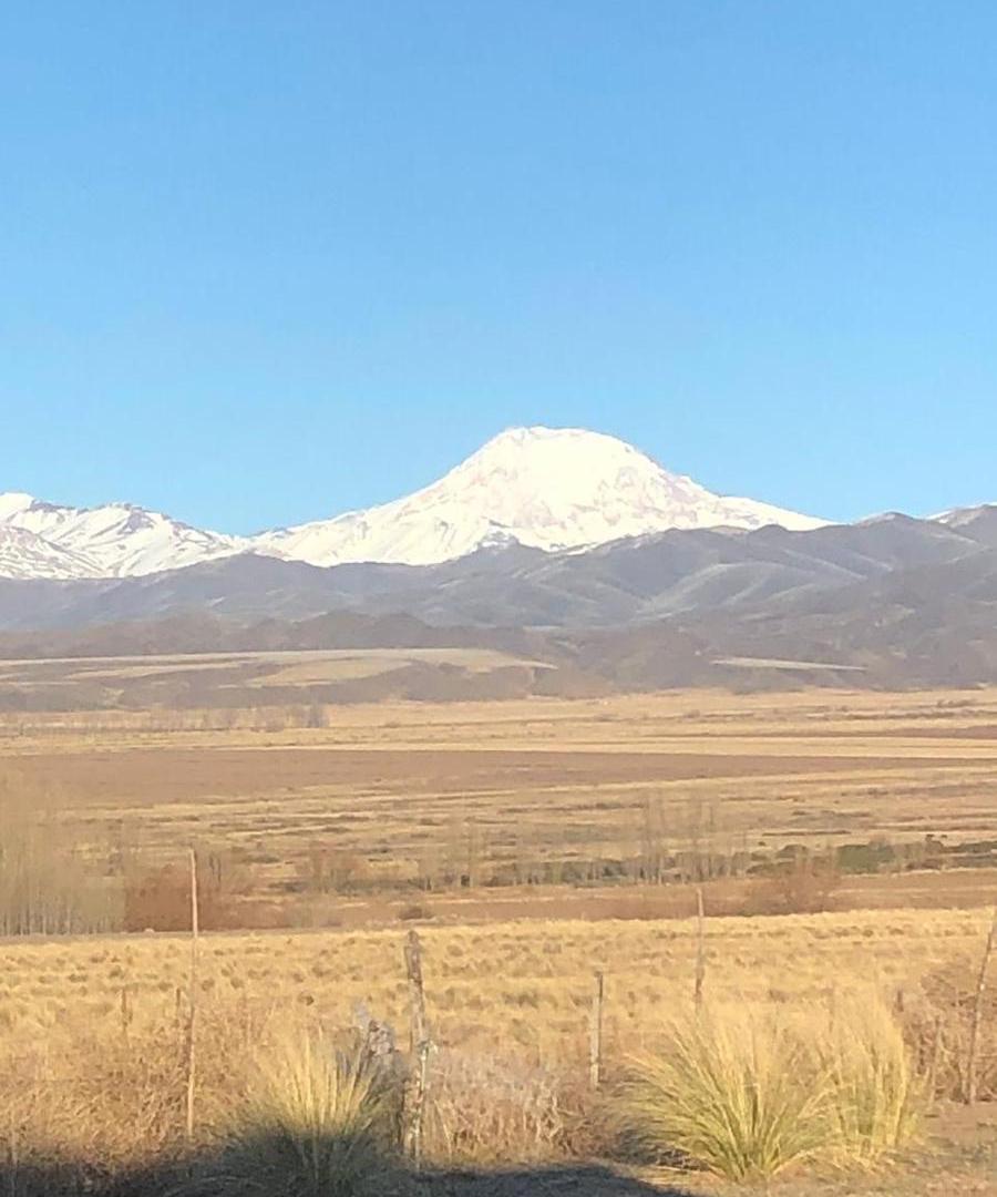 Foto de TERRENO SOBRE CAMINO DEL ALTO Y RUTA 149 BARREAL SAN JUAN, imagen 4