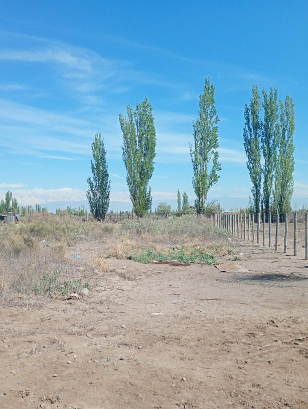 Foto de TERRENO EN VENTA BARRIO LAS MARGARITAS FRAY LUIS BELTRAN, MAIPU, imagen 1