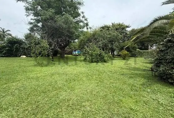 Casa Quinta 4