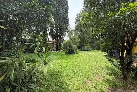 Lote 1200 M2 4