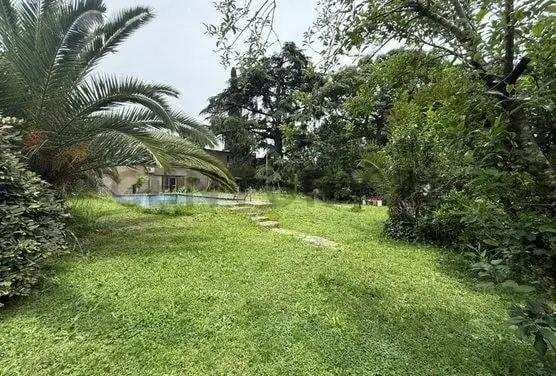 Lote 1200 M2 2