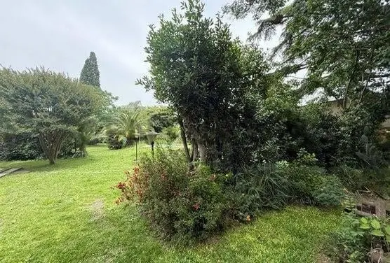 Lote 1200 M2 3