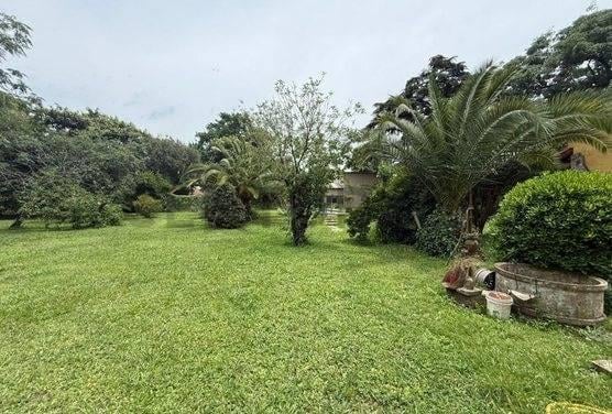 Lote 1200 M2