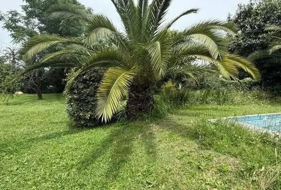 Lote 1200 M2 5