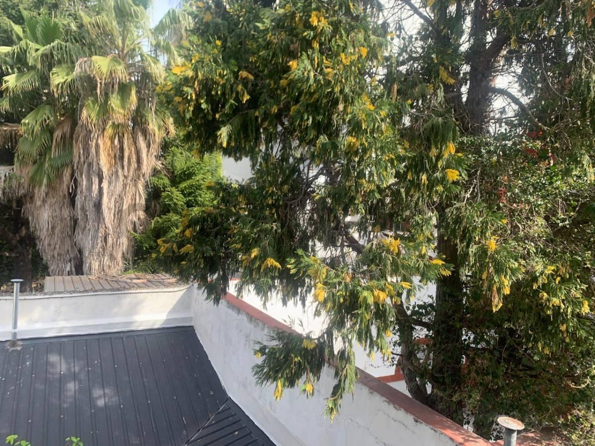 Foto de Venta departamento 2 ambientes amplio muy luminoso en hermoso, imagen 4
