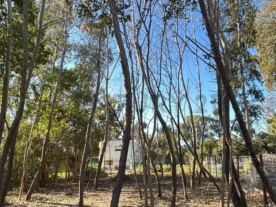 Foto de Lote en venta en Garín Chico — Garín, imagen 4