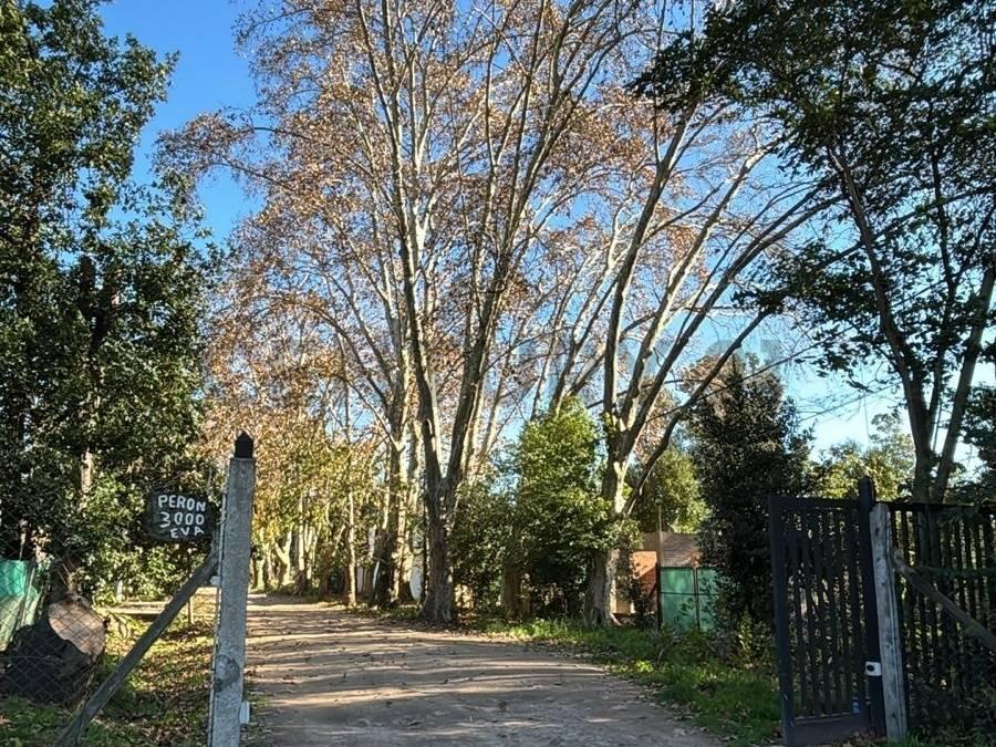 Foto de Lote en venta en Garín Chico — Garín, imagen 5