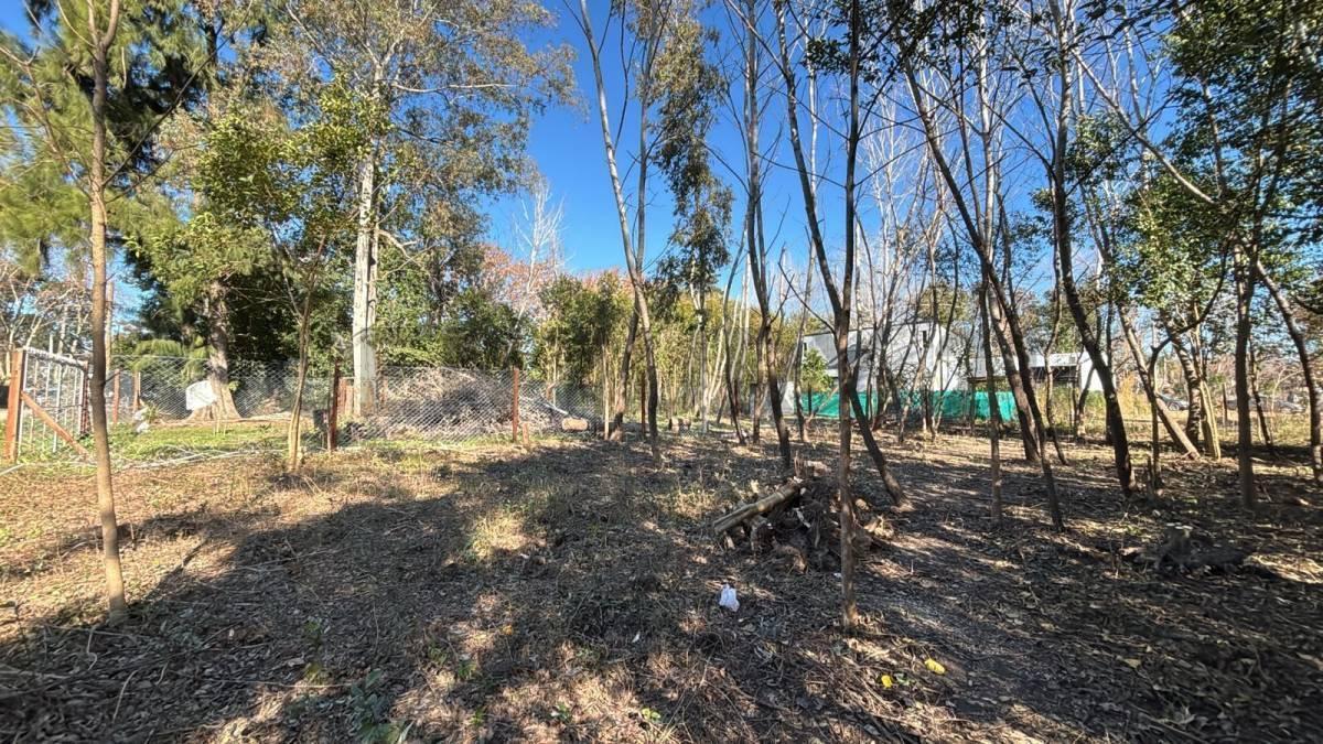 Foto de Lote en venta en Garín Chico — Garín, imagen 2