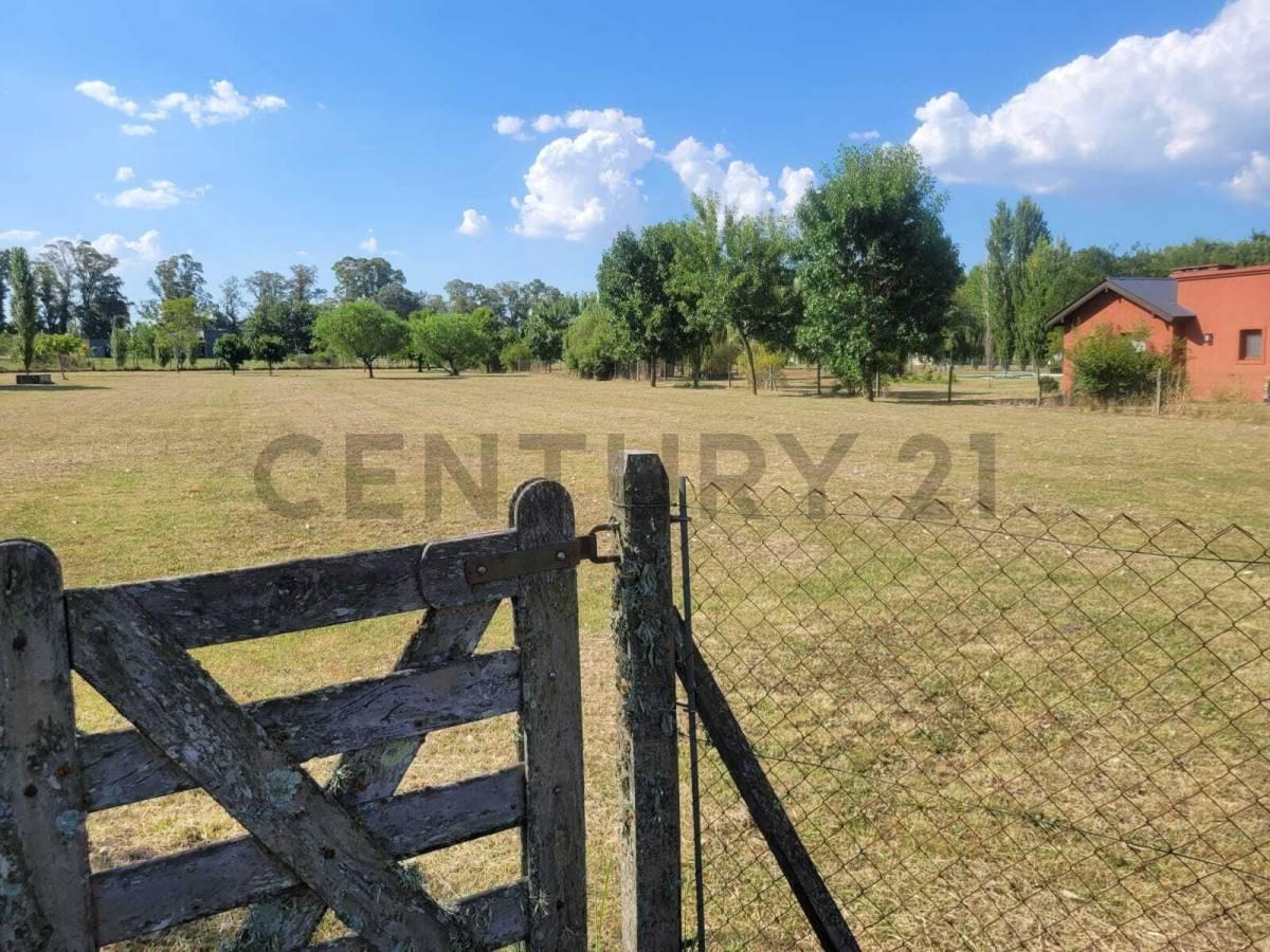 Foto de Terreno en Venta, imagen 5