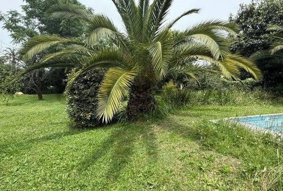 Foto de Lote 1200 M2, imagen 2