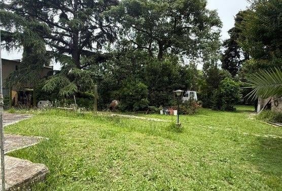 Foto de Lote 1200 M2, imagen 3