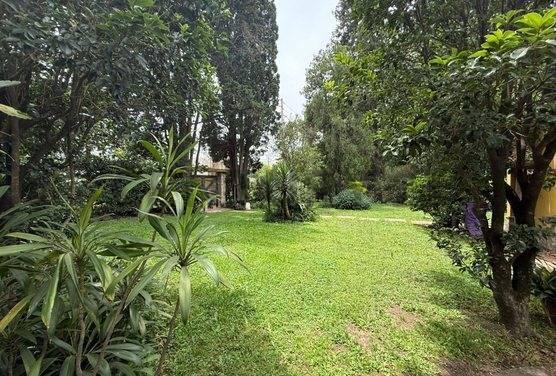 Foto de Lote 1200 M2, imagen 5