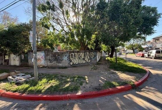 Foto de Terreno para emprendimiento, imagen 3