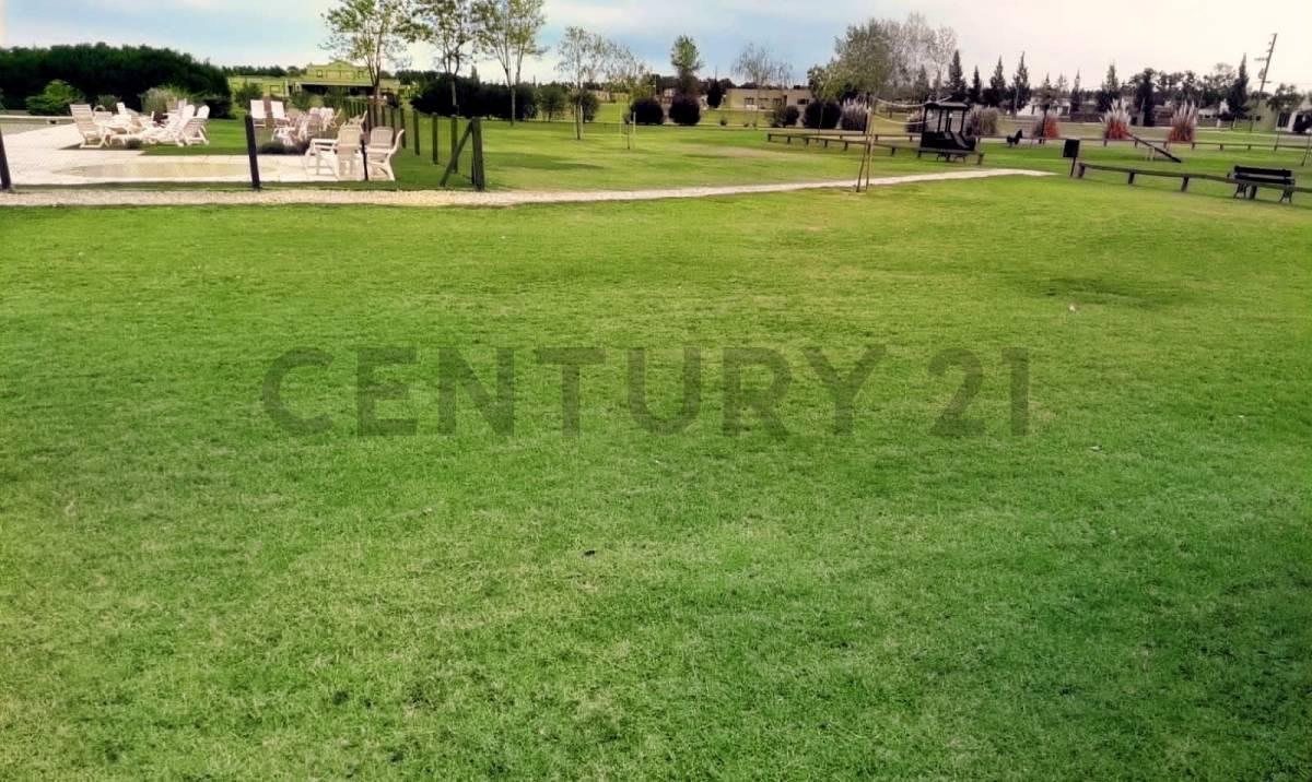 Foto de LOTE 2000 M2 FINCAS DE SAN VICENTE SPORTING, imagen 1