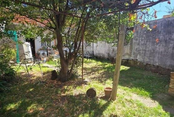 Foto de 3 unidades en lote 300m2 con parque y cochera, imagen 5