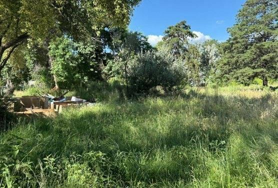 Foto de Terreno comercial, imagen 5