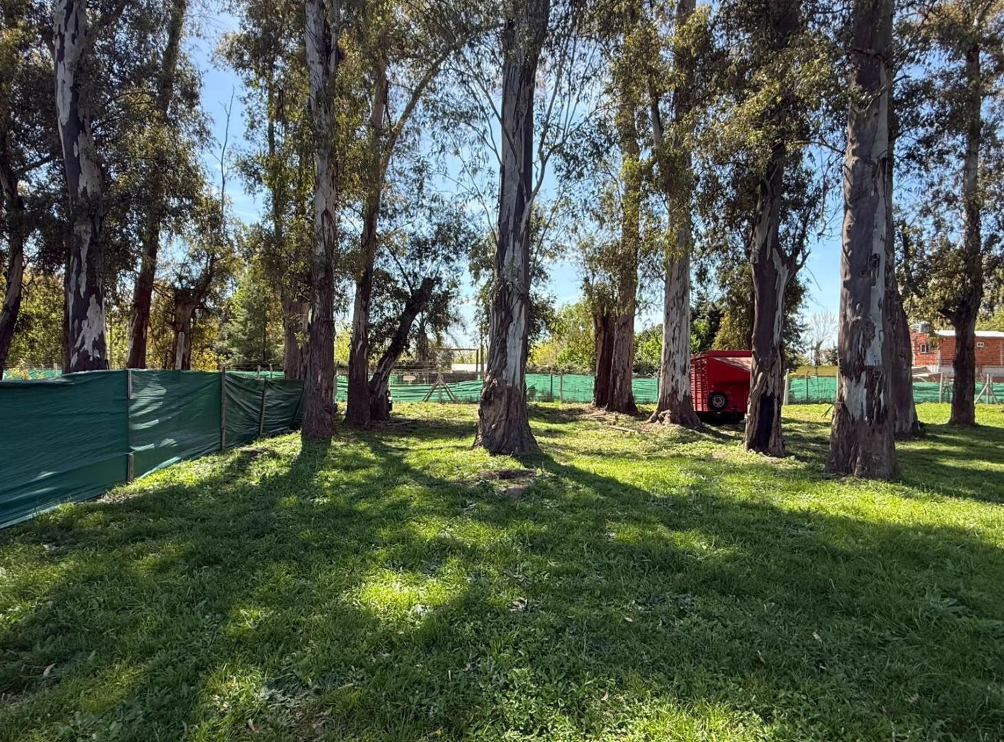 Foto de Terreno en venta Alvarez del Bosque, imagen 2