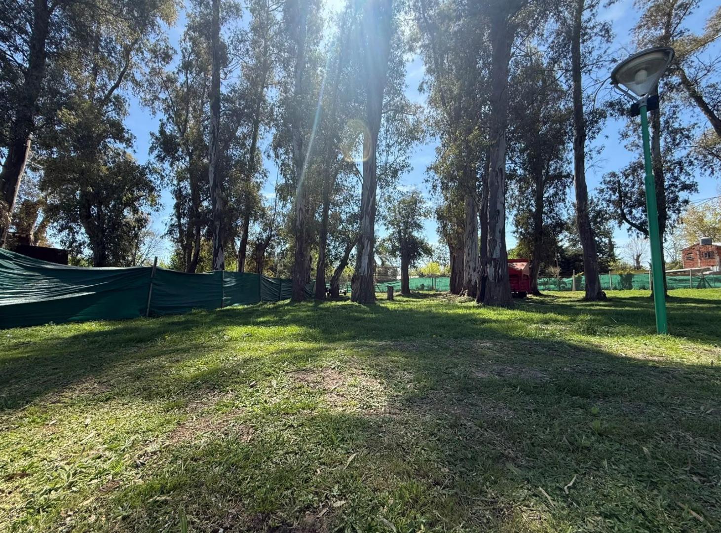 Foto de Terreno en venta Alvarez del Bosque, imagen 5