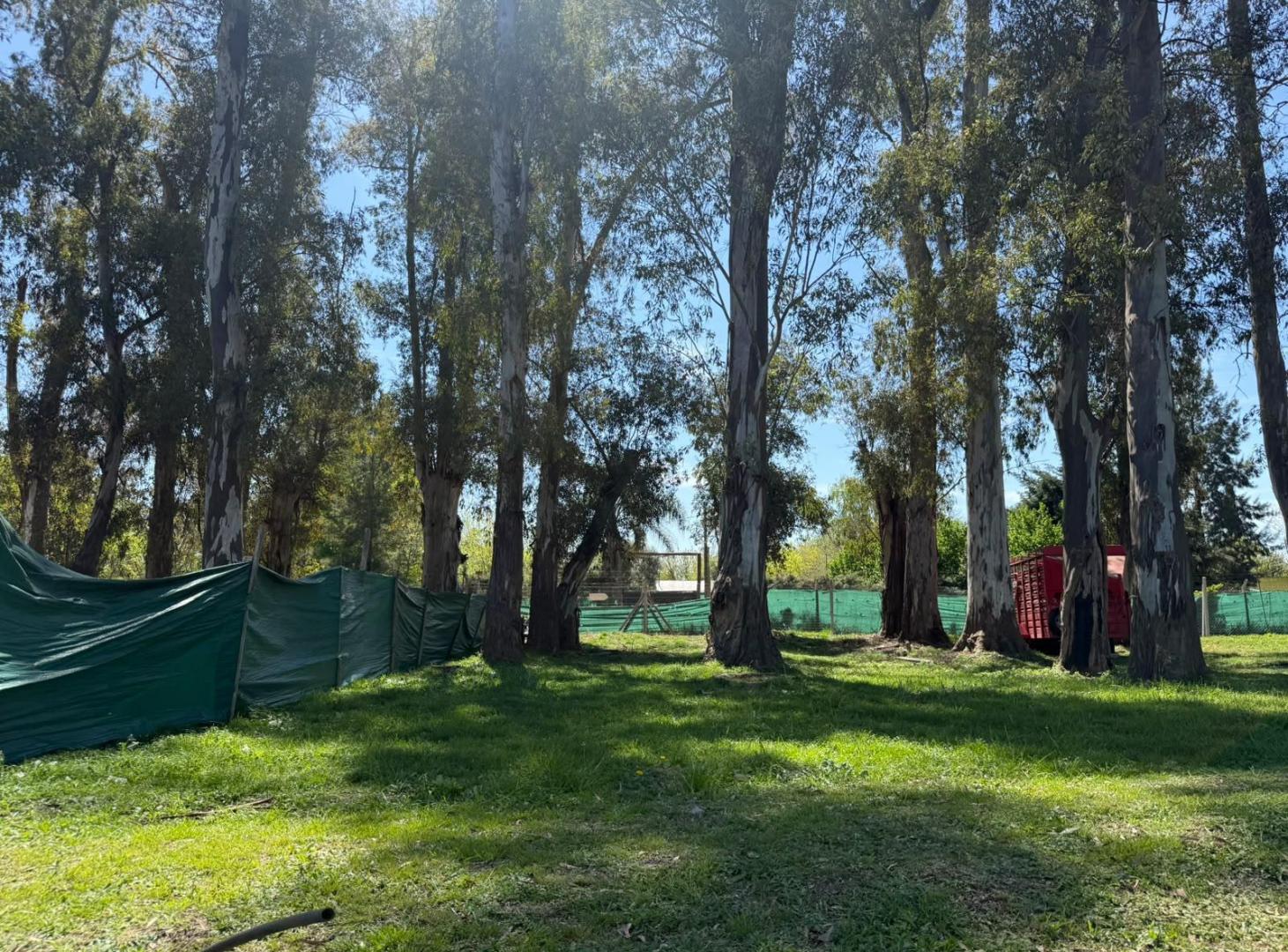 Foto de Terreno en venta Alvarez del Bosque, imagen 4
