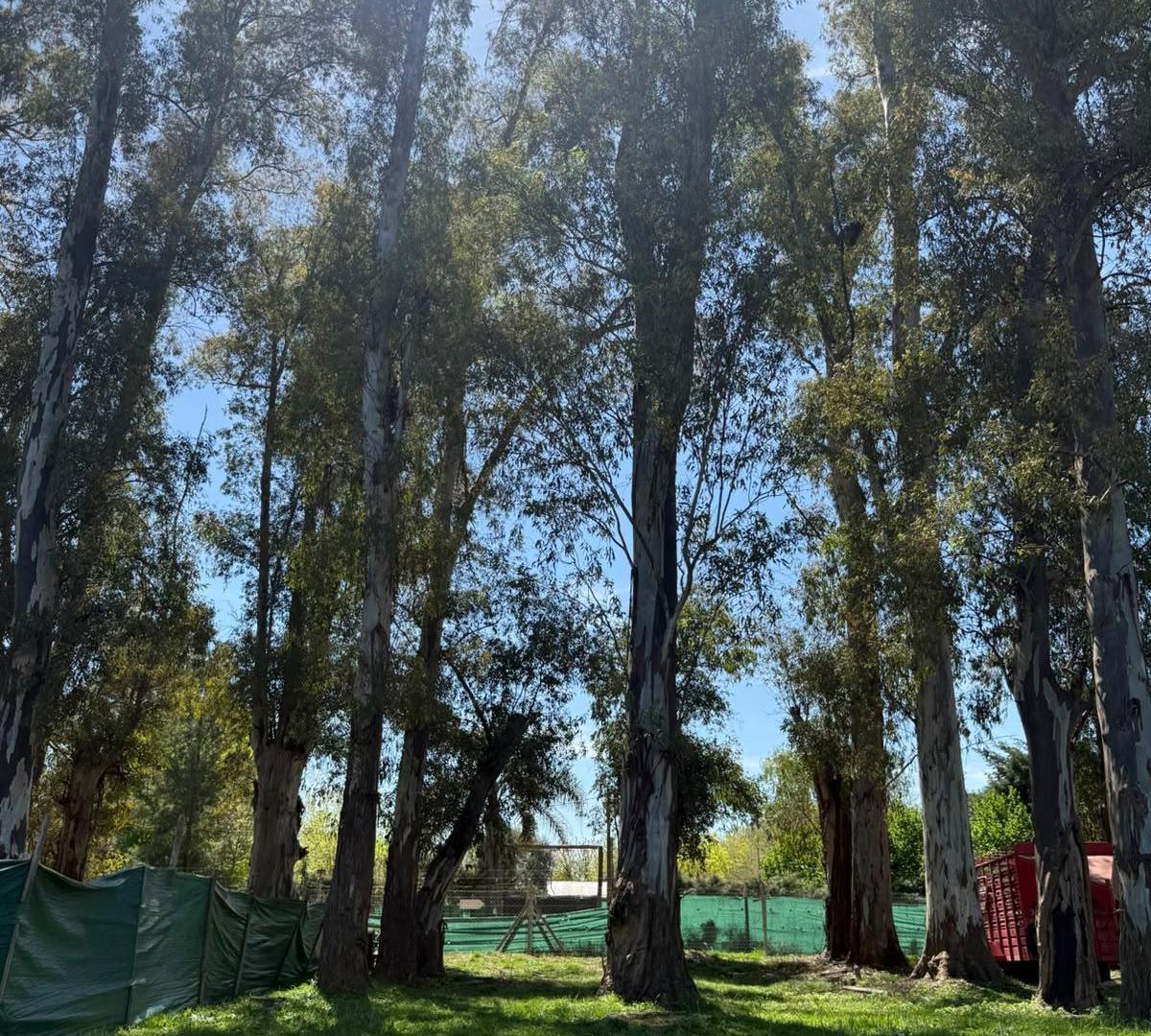Foto de Terreno en venta Alvarez del Bosque, imagen 1