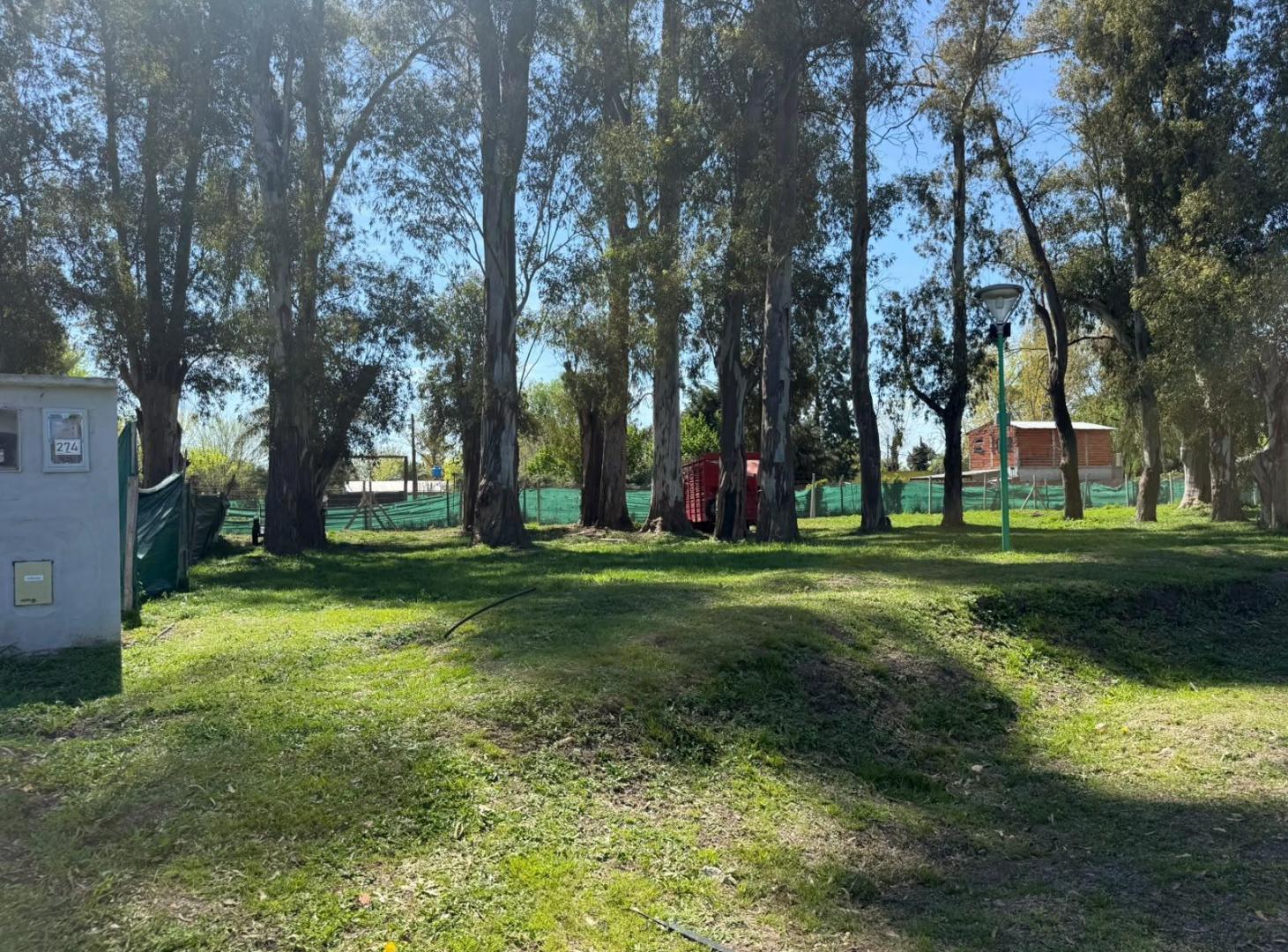 Foto de Terreno en venta Alvarez del Bosque, imagen 3