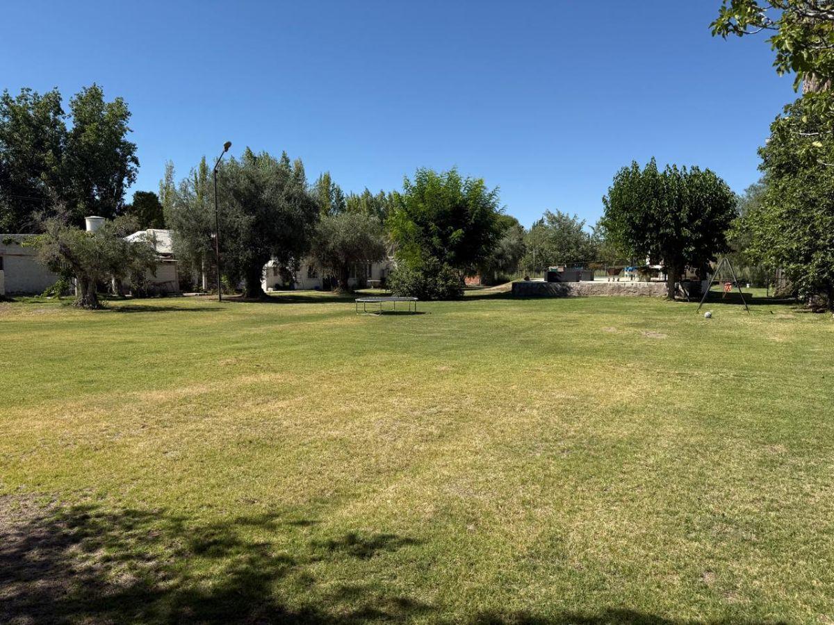 Finca en venta en Maipú - 2,4 Has - con importantes mejoras, calle Nicolás Serpa