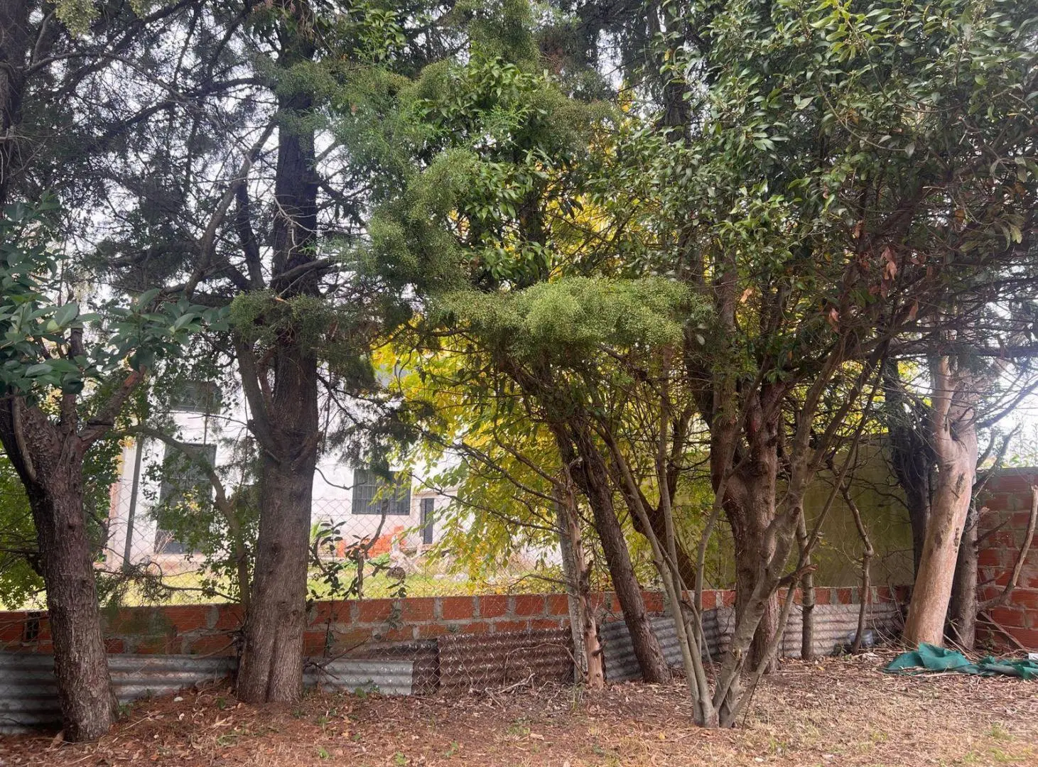 Casa en alquiler 4