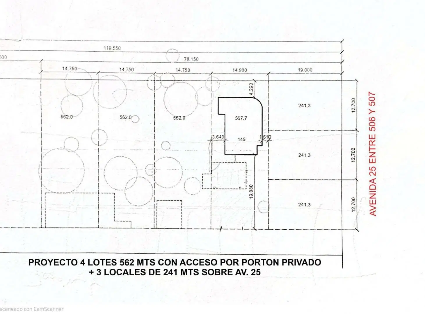 Plano 1