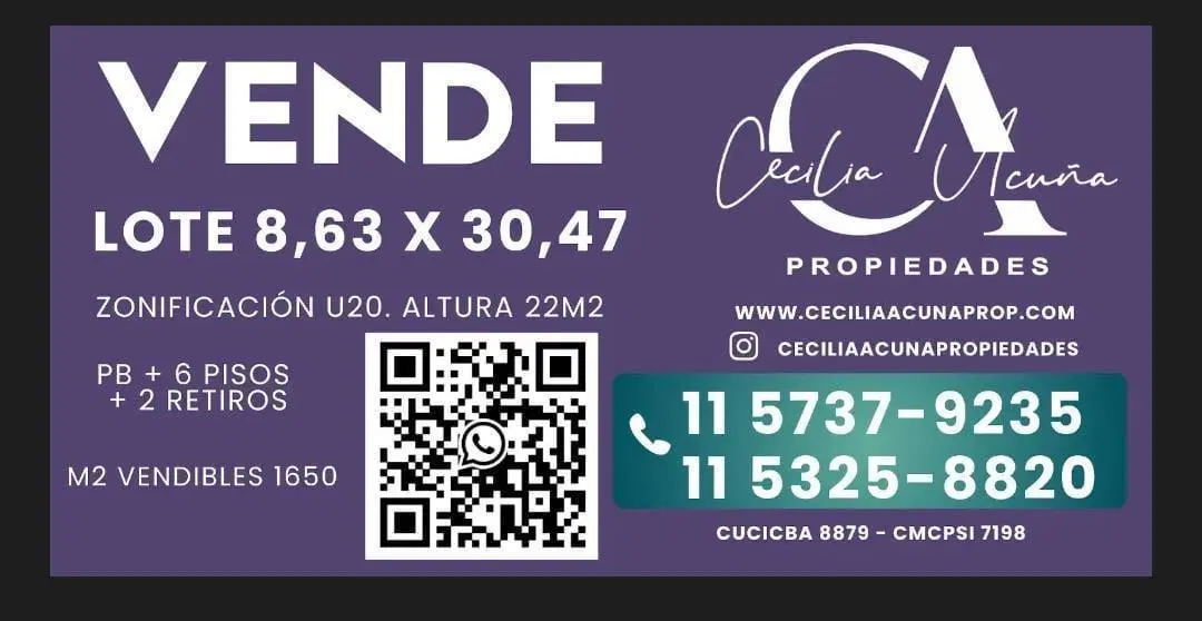 Palermo, Lote a la venta 5
