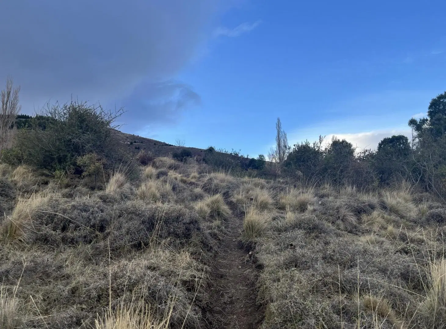 Terreno de 8532m2 en venta - Esquel 4