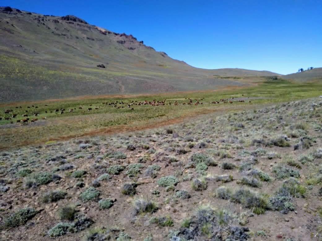 Foto de Estancia patagonica, imagen 5