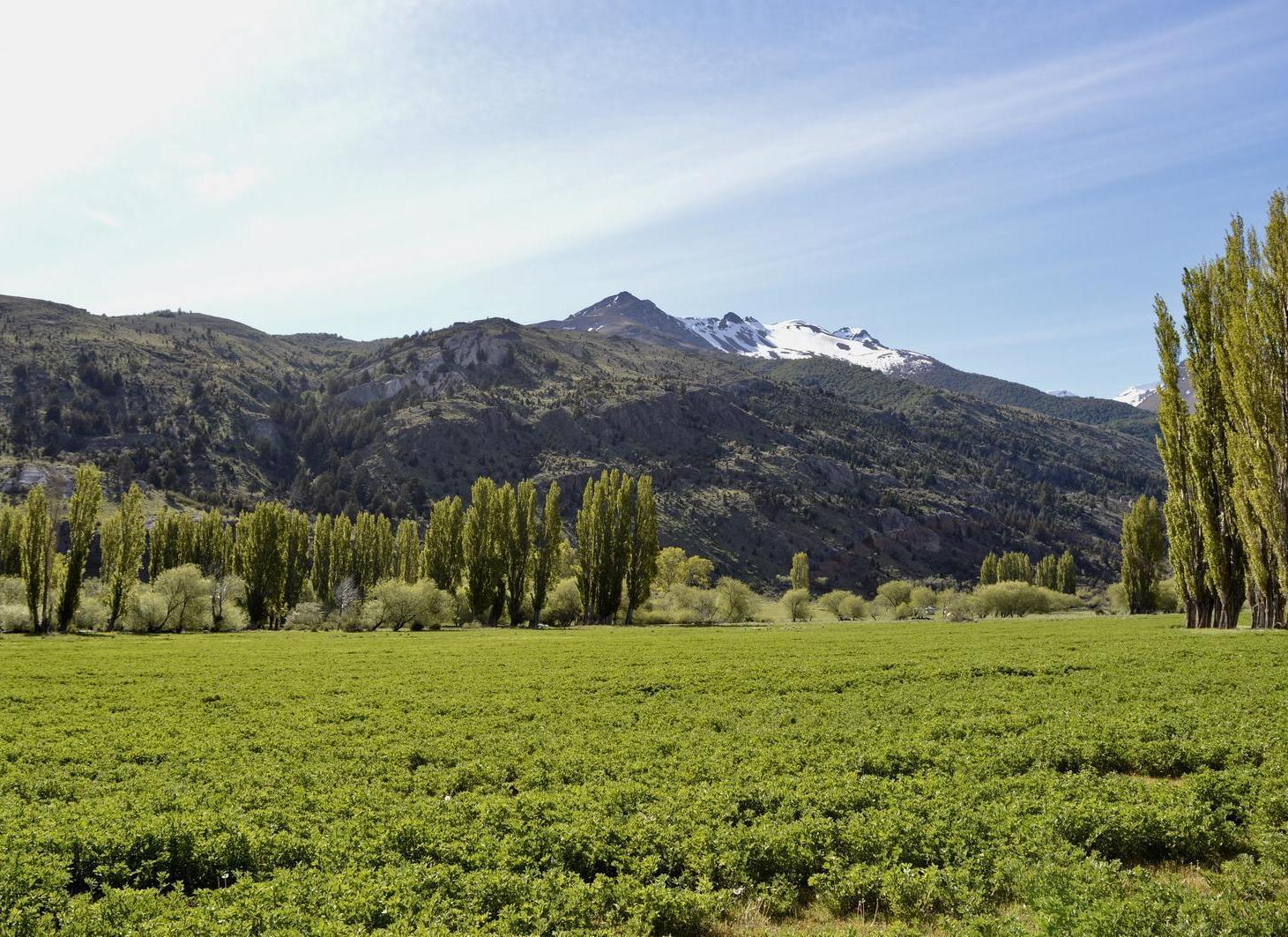 Foto de Estancia patagonica, imagen 4