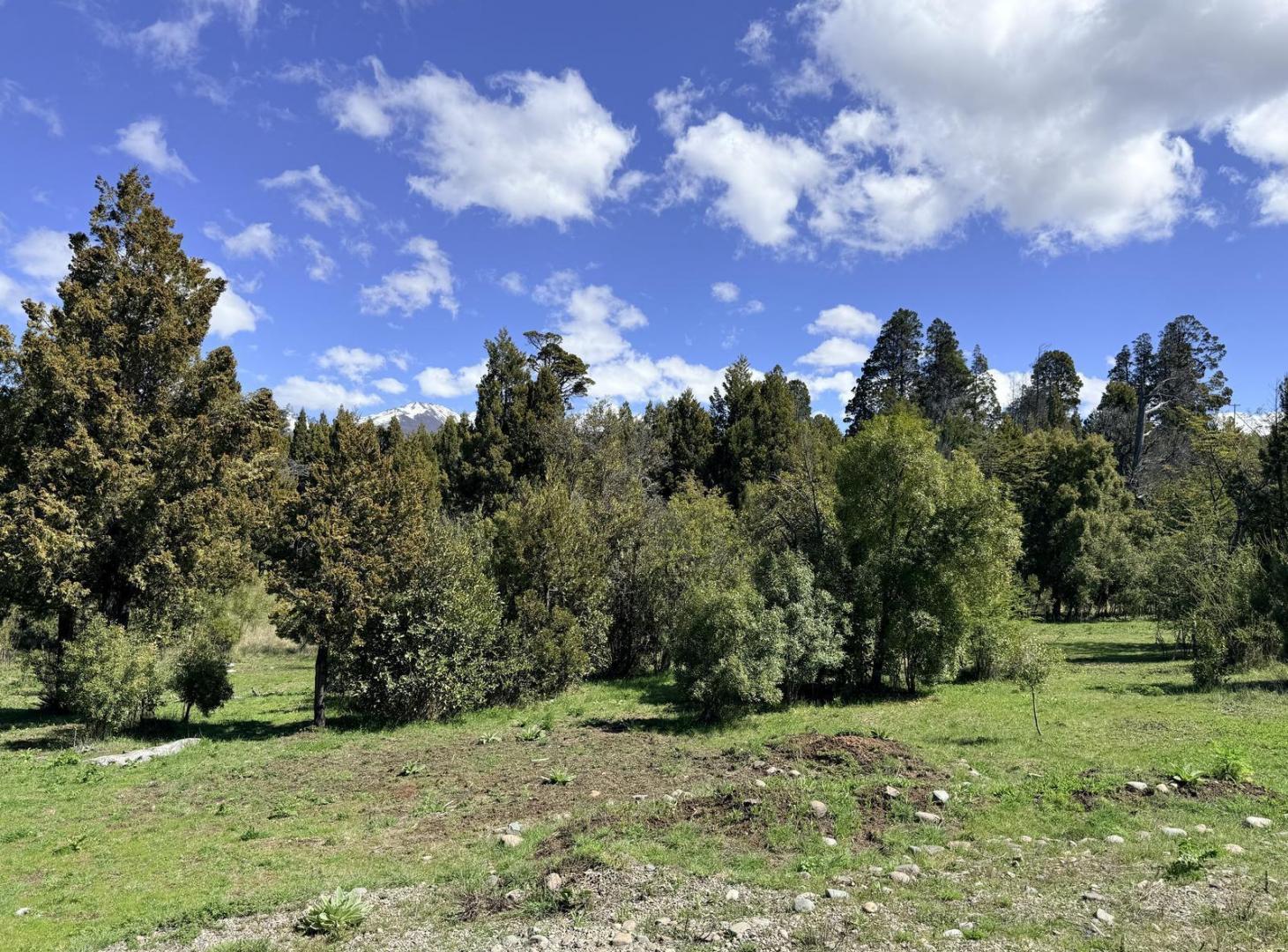 Foto de Casa en venta - Bosque nativo - Trevelin, imagen 5