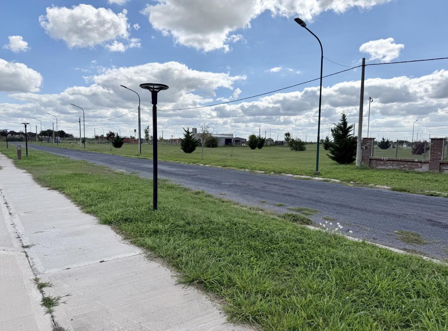 Foto de Terreno en Los Pinos 4, imagen 2