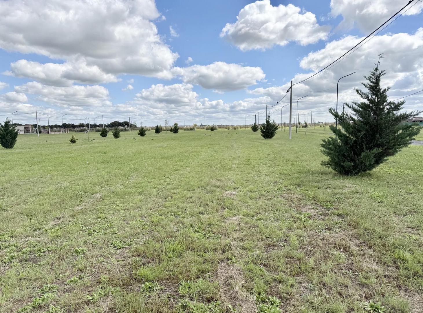 Foto de Terreno en Los Pinos 4, imagen 3