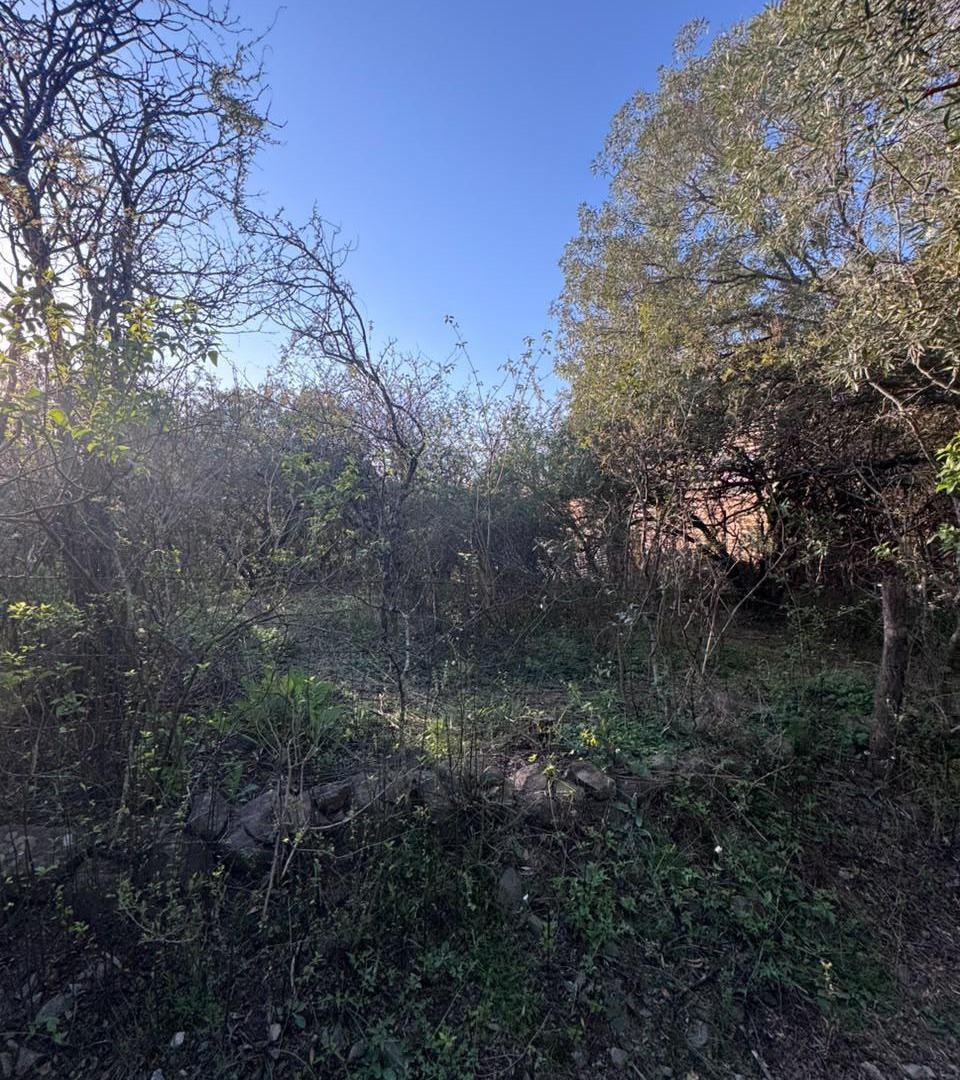 Foto de TERRENO EN UNQUILLO !!!, imagen 1