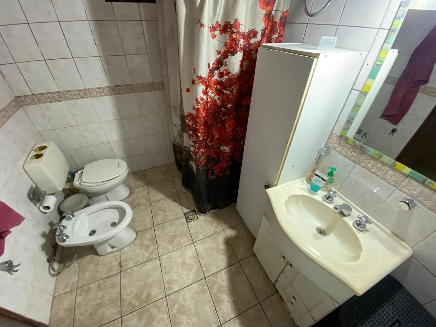 CASA 3 AMBIENTES CON JARDIN, ENTRADA DE COCHE Y FDO LIBRE 2