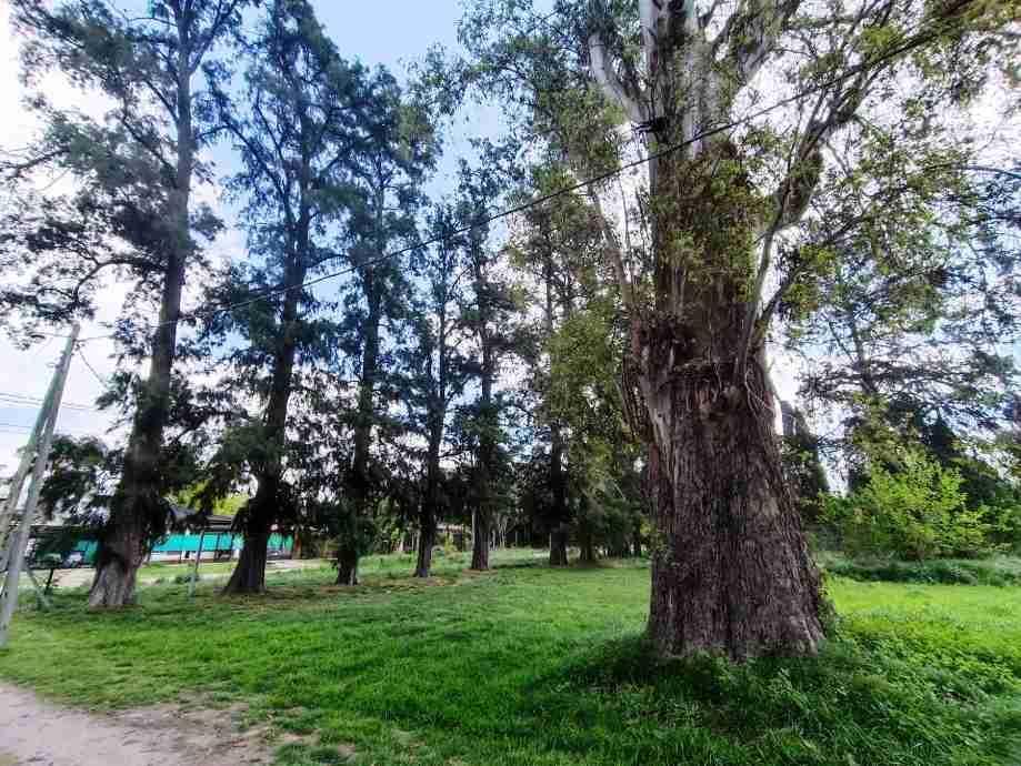 VENTA LOTE TERRENO FCO. ALVAREZ