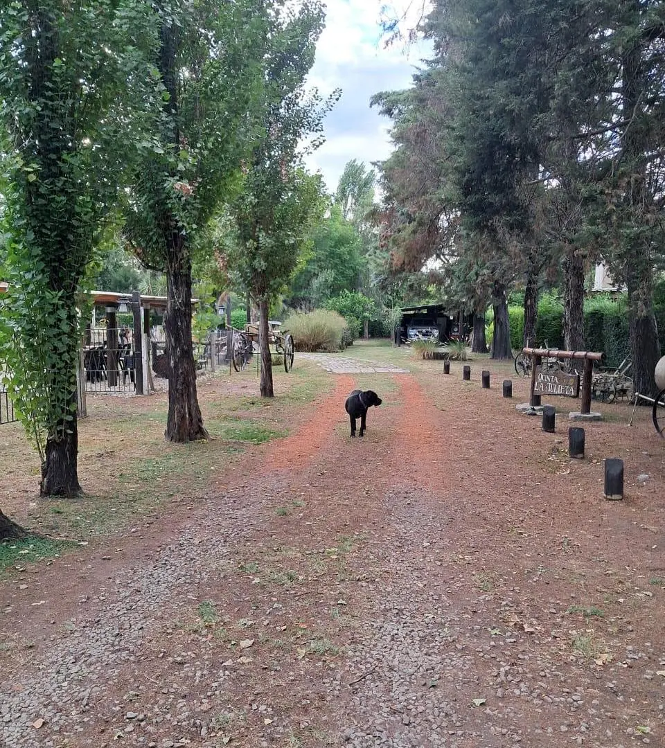 QUINTA TERRENO EN VENTA EN FCO ALVAREZ 5