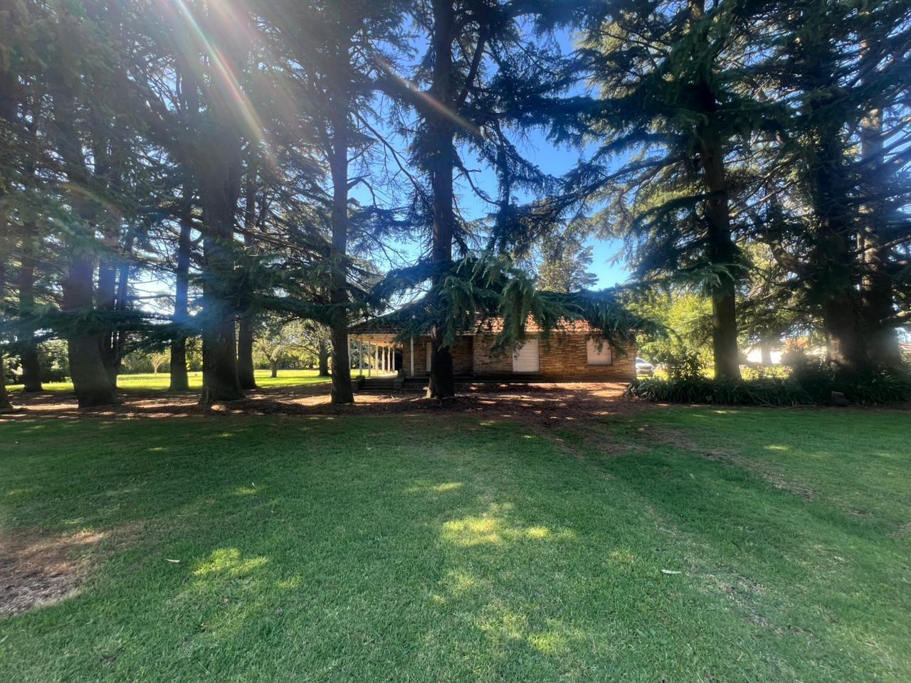 Foto de Casa quinta con gran parque en Batán, imagen 5